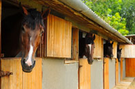 free Barr Common stable construction quotes